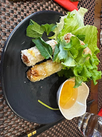 Rouleau de printemps du Restaurant thaï Thaï Basilic Créteil Soleil à Créteil - n°11