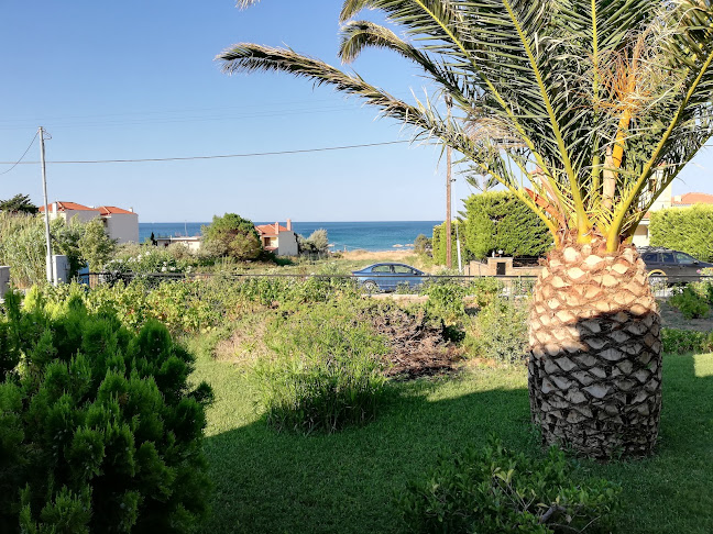 Δημοτικός δρόμος, Αγ. Ιωάννης 814 00