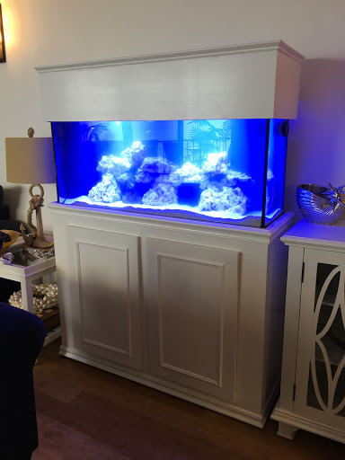 Tropical Fish Store «Hooked On Reefs», reviews and photos, 228 Hibiscus St #1, Jupiter, FL 33458, USA