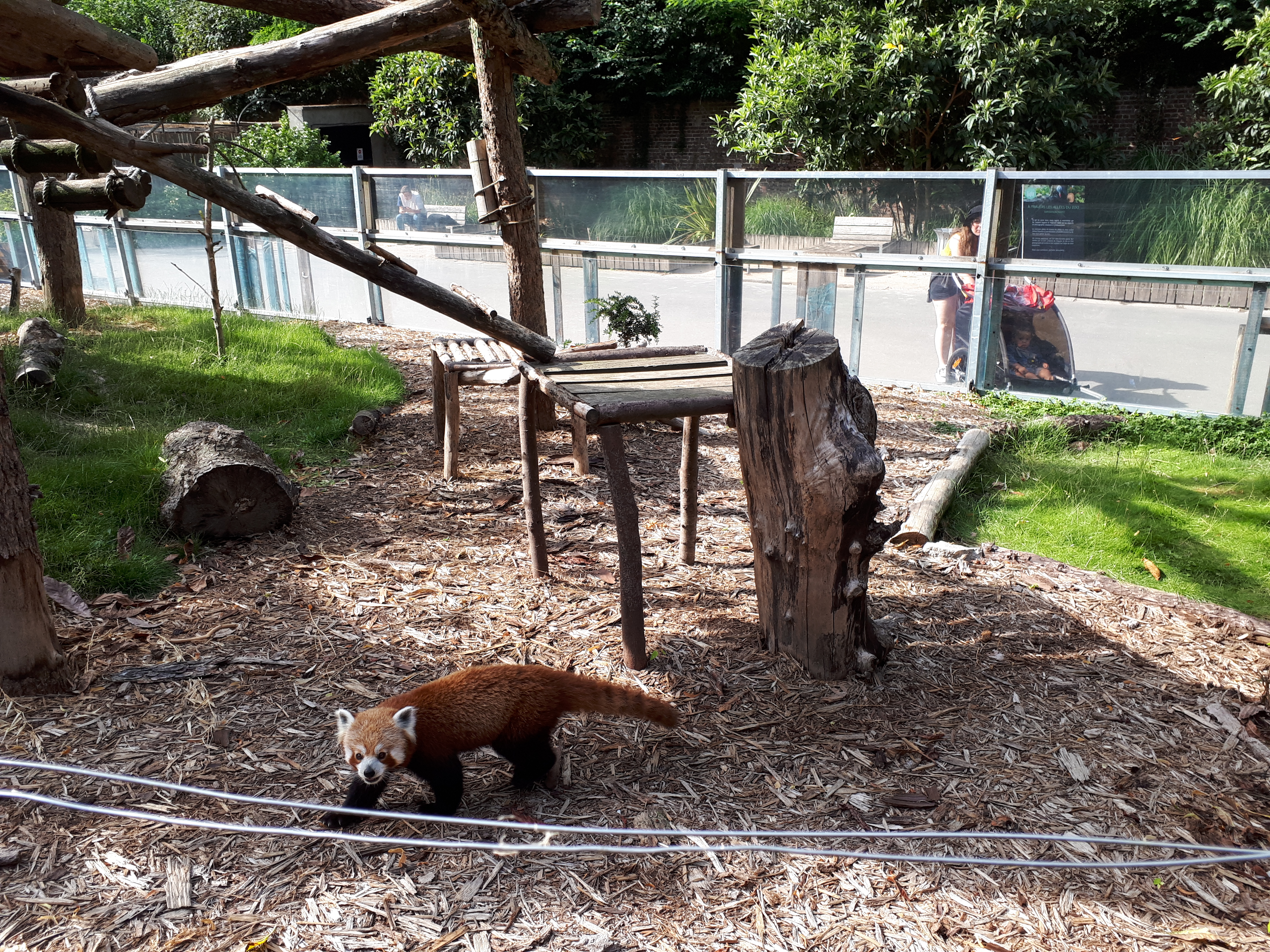 Photo n° 1 de l'avis de Blandine.e fait le 19/07/2023 à 07:39