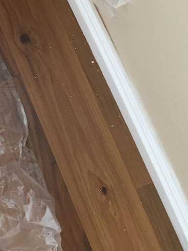 Painter «Painter Bros of Las Vegas», reviews and photos, 2561 Rue Royale St, Henderson, NV 89044, USA