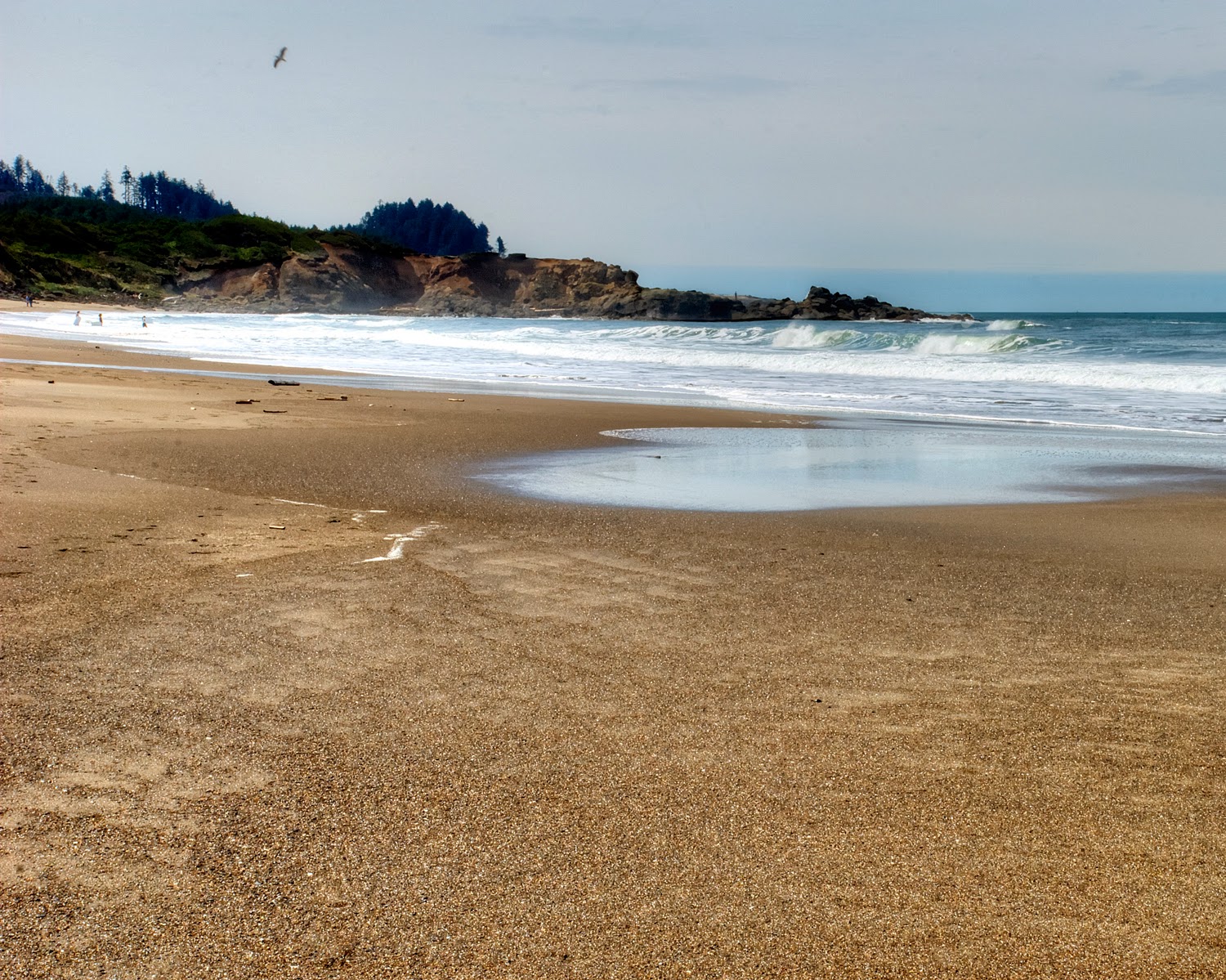 Lincoln Beach'in fotoğrafı çok temiz temizlik seviyesi ile