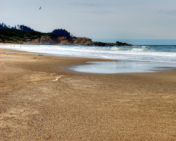 Lincoln Beach'in fotoğrafı çok temiz temizlik seviyesi ile