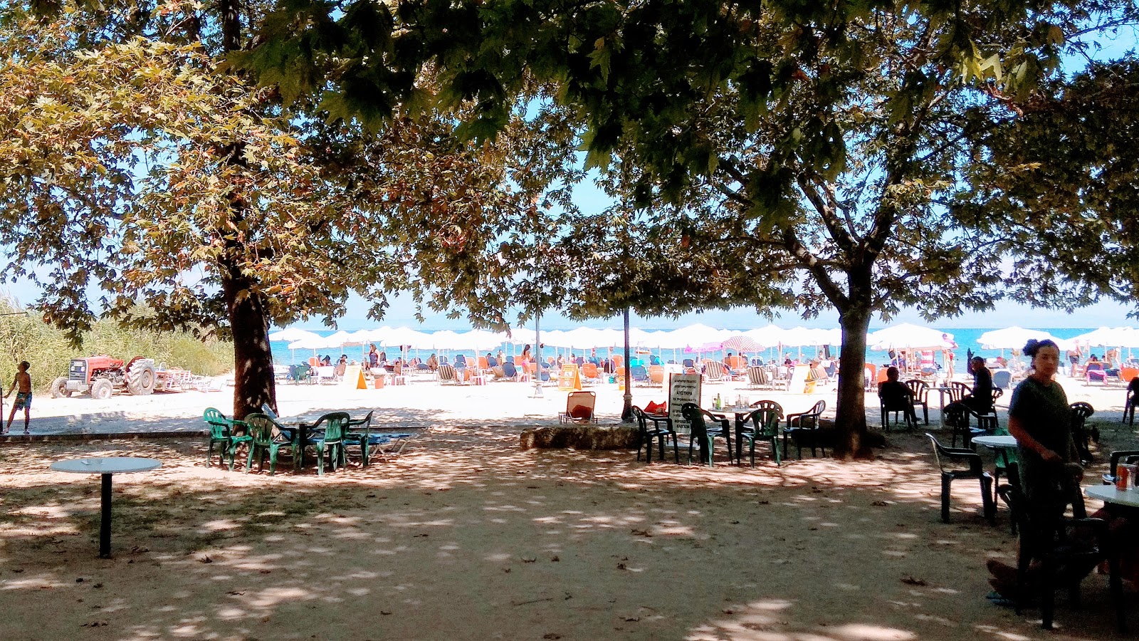 Foto de Archea Pydna beach - lugar popular entre os apreciadores de relaxamento