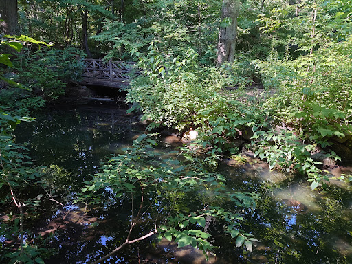 Azalea Pond image 1