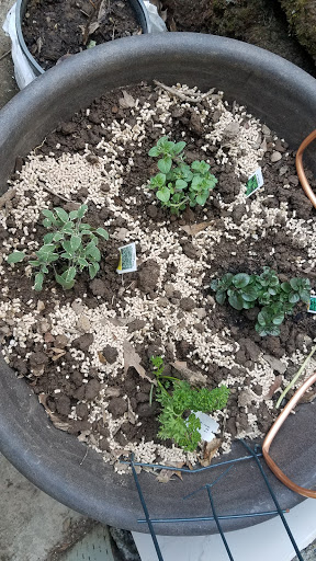 Grocery Store «Grocery Outlet Bargain Market», reviews and photos, 15705 SW 116th Ave, King City, OR 97224, USA