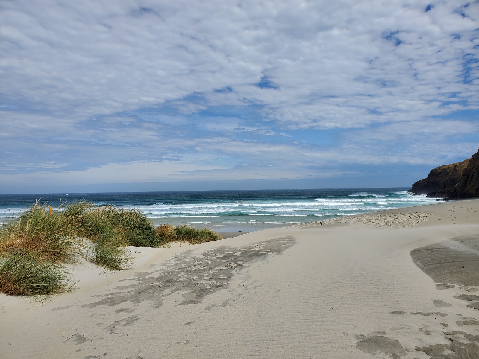 Photo of Sandfly Bay Beach with turquoise water surface