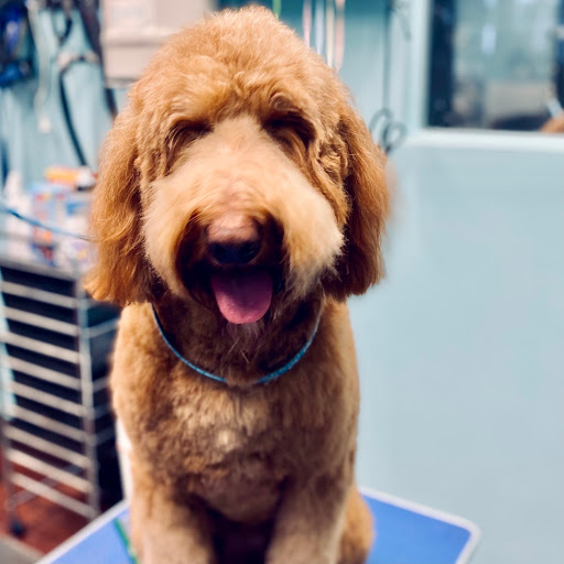 Pet Supply Store «Four Muddy Paws», reviews and photos, 2127 IL-157, Edwardsville, IL 62025, USA