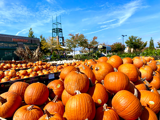 Home Improvement Store «The Home Depot», reviews and photos, 701 Nassau Park Blvd, Princeton, NJ 08540, USA