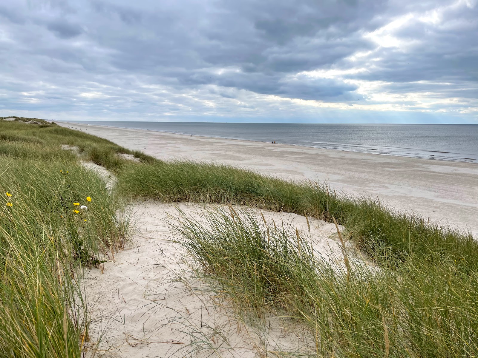 Børsmose Strand'in fotoğrafı düz ve uzun ile birlikte