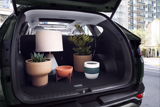 Selma Hyundai image
