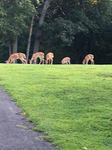 Golf Club «Chesapeake Hills Golf Club», reviews and photos, 11200 H G Trueman Rd, Lusby, MD 20657, USA