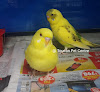 Bird shops Adelaide