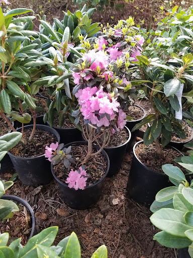 Animal Feed Store «Wilco Farm Store», reviews and photos, 3408 Hunt St NW, Gig Harbor, WA 98335, USA