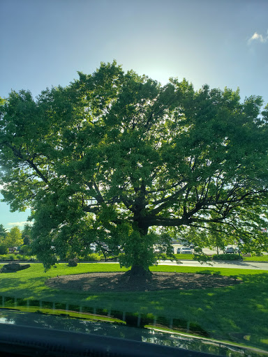 Aquarium «Wonders Of Wildlife National Museum & Aquarium», reviews and photos, 500 W Sunshine St, Springfield, MO 65807, USA