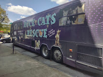 Morton Theatre - Photo 5 - Car repair in Athens, GA, Athens