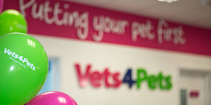 Vets4Pets Southport