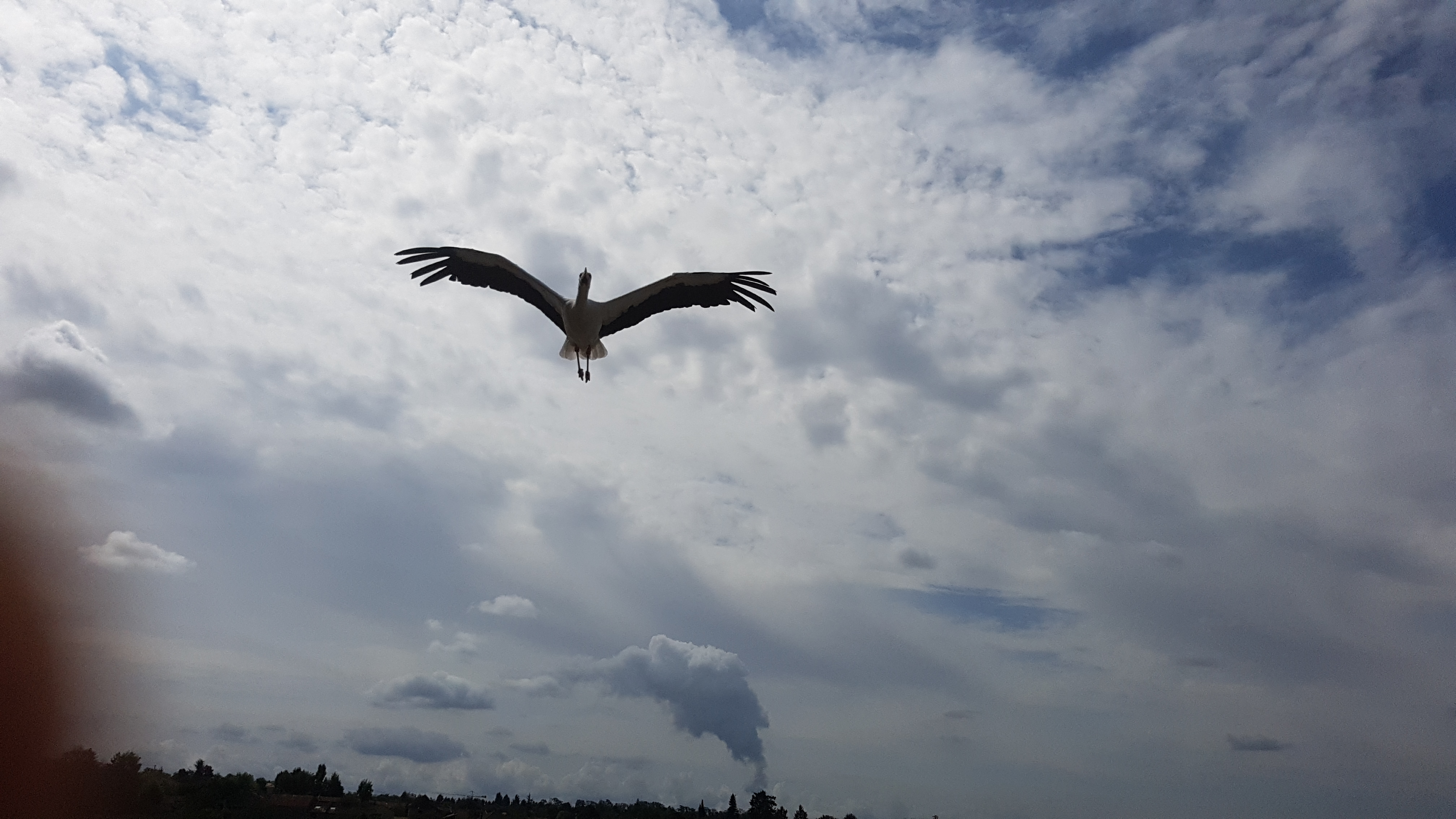 Photo n° 3 de l'avis de Renaud.u fait le 13/08/2019 à 13:42