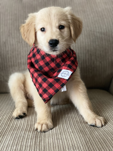 Pet Supply Store «Pets R Inn», reviews and photos, 3902 13th Ave S #3701, Fargo, ND 58103, USA