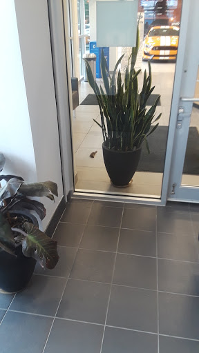 Car Dealer «Ricart Automotive Group», reviews and photos, 4255 S Hamilton Rd, Groveport, OH 43125, USA