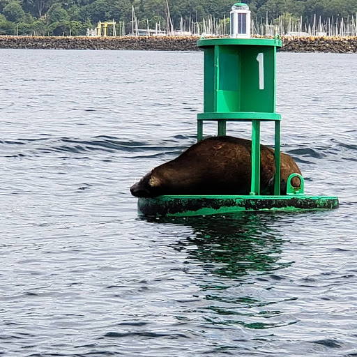 Park «Golden Gardens Park», reviews and photos, 8498 Seaview Pl NW, Seattle, WA 98117, USA