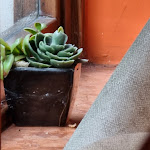 Photo n°3 de l'avis de Luca.i fait le 02/10/2021 à 11:05 sur le  LeClub La Fornace à Lucca