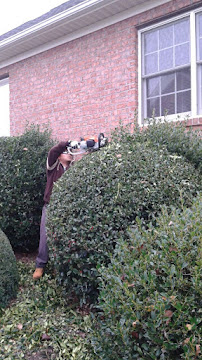 Ramirez Landscaping - Photo 2 - Car repair in Winston-Salem, NC, Winston-Salem