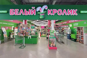 Hypermarket for animals White Rabbit image