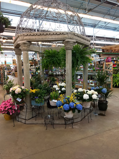 Garden Center «English Gardens», reviews and photos, 4901 Coolidge Hwy, Royal Oak, MI 48073, USA