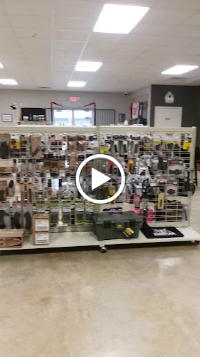 Outdoor Sports Store «Templar Shooting Sports», reviews and photos, 1101 S Jackson St, Tullahoma, TN 37388, USA