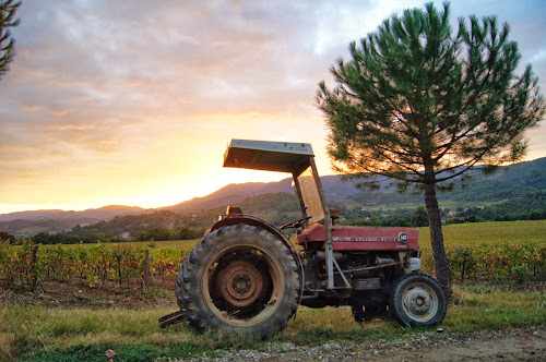 Domaine de Robinson à Cournanel