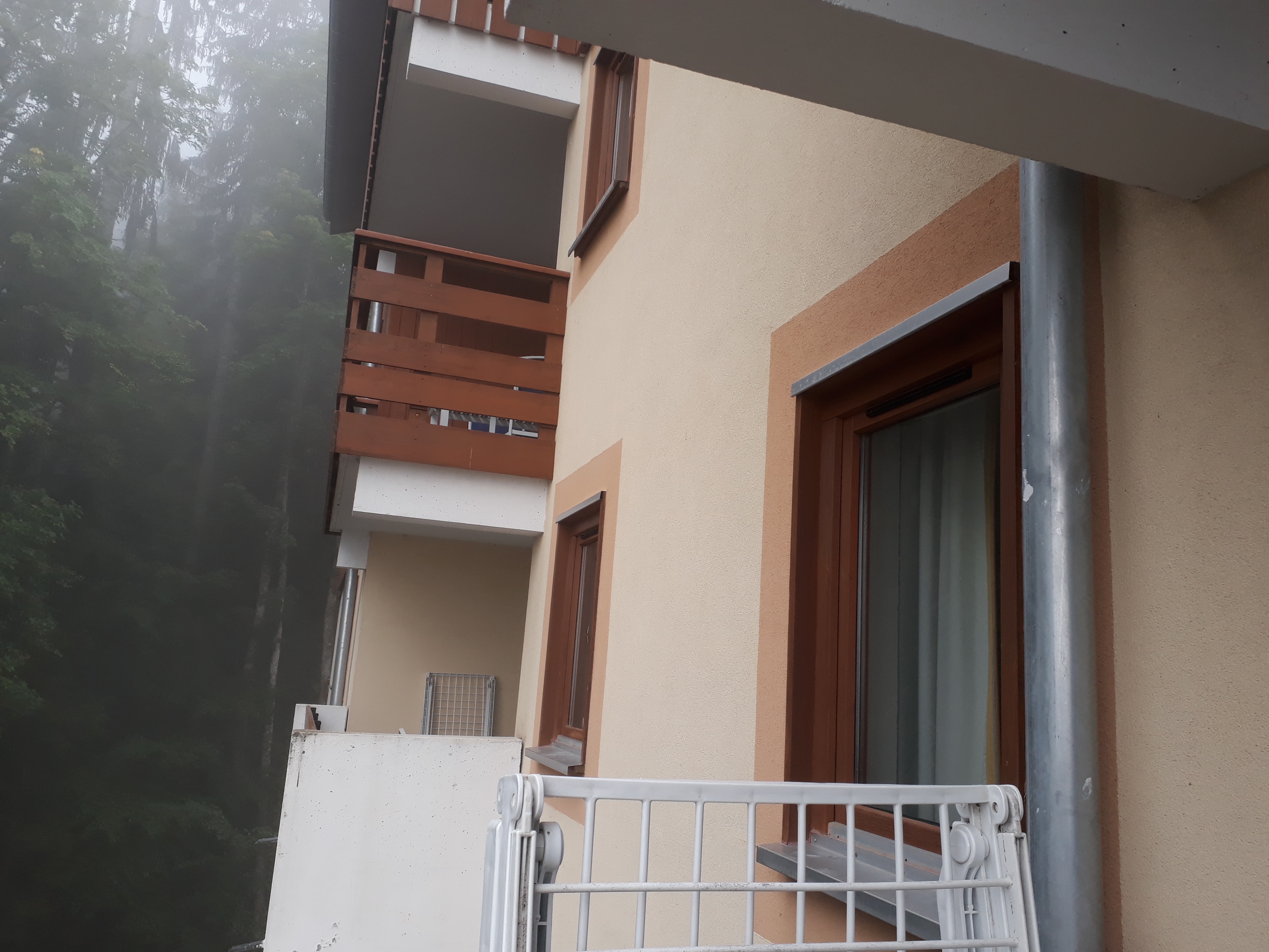 Photo n° 21 de l'avis de Stef.e fait le 01/09/2018 à 09:47