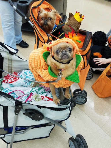 Pet Supply Store «Petco Animal Supplies», reviews and photos, 17200 Southcenter Pkwy #100, Tukwila, WA 98188, USA