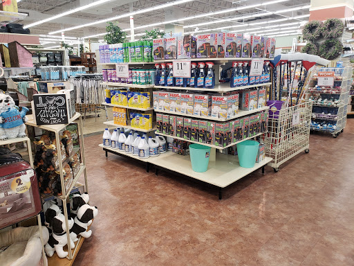 Home Goods Store «Christmas Tree Shops», reviews and photos, 130 E Altamonte Dr #1300, Altamonte Springs, FL 32701, USA