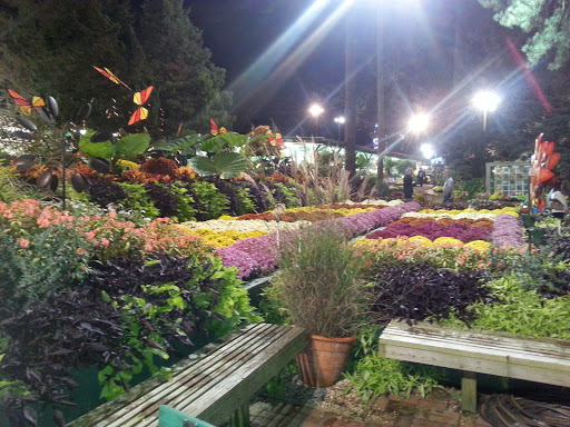 Stadium «Carter-Finley Stadium», reviews and photos, 4600 Trinity Rd, Raleigh, NC 27607, USA