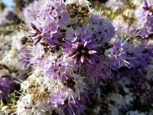 Pet Supply Store «Mini Pet Mart», reviews and photos, 815 S Broadway, Coos Bay, OR 97420, USA