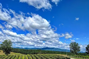 Chateau Meichtry Family Vineyard and Winery image