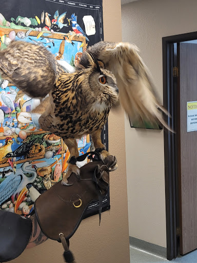 Animal Medical Center of Corona image