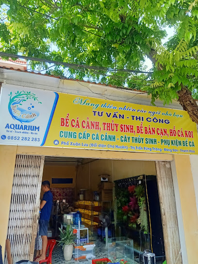 Cửa hàng cá cảnh thủy sinh