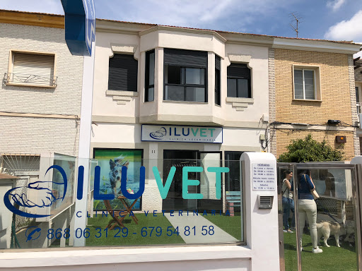 Clínica Veterinaria Iluvet en Cartagena