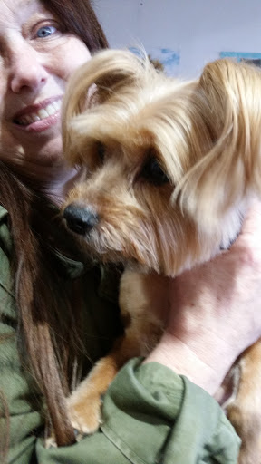 Pet Boarding Service «The Dog Stop Plus», reviews and photos, 2640 Carnegie Ave, Cleveland, OH 44115, USA