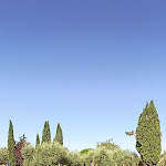 Photo n°5 de l'avis de suseli.p fait le 17/07/2022 à 19:15 sur le  Villa Paradiso Village - Blu Hotels à Passignano sul Trasimeno