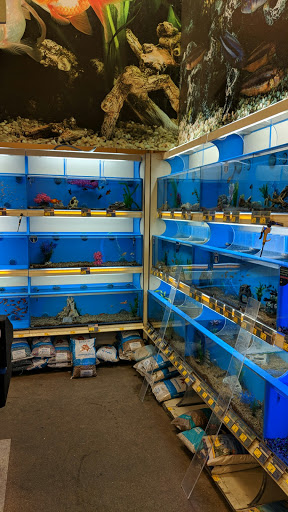 Pet Supply Store «PetSmart», reviews and photos, 5435 W TX-1604 Loop N, San Antonio, TX 78253, USA