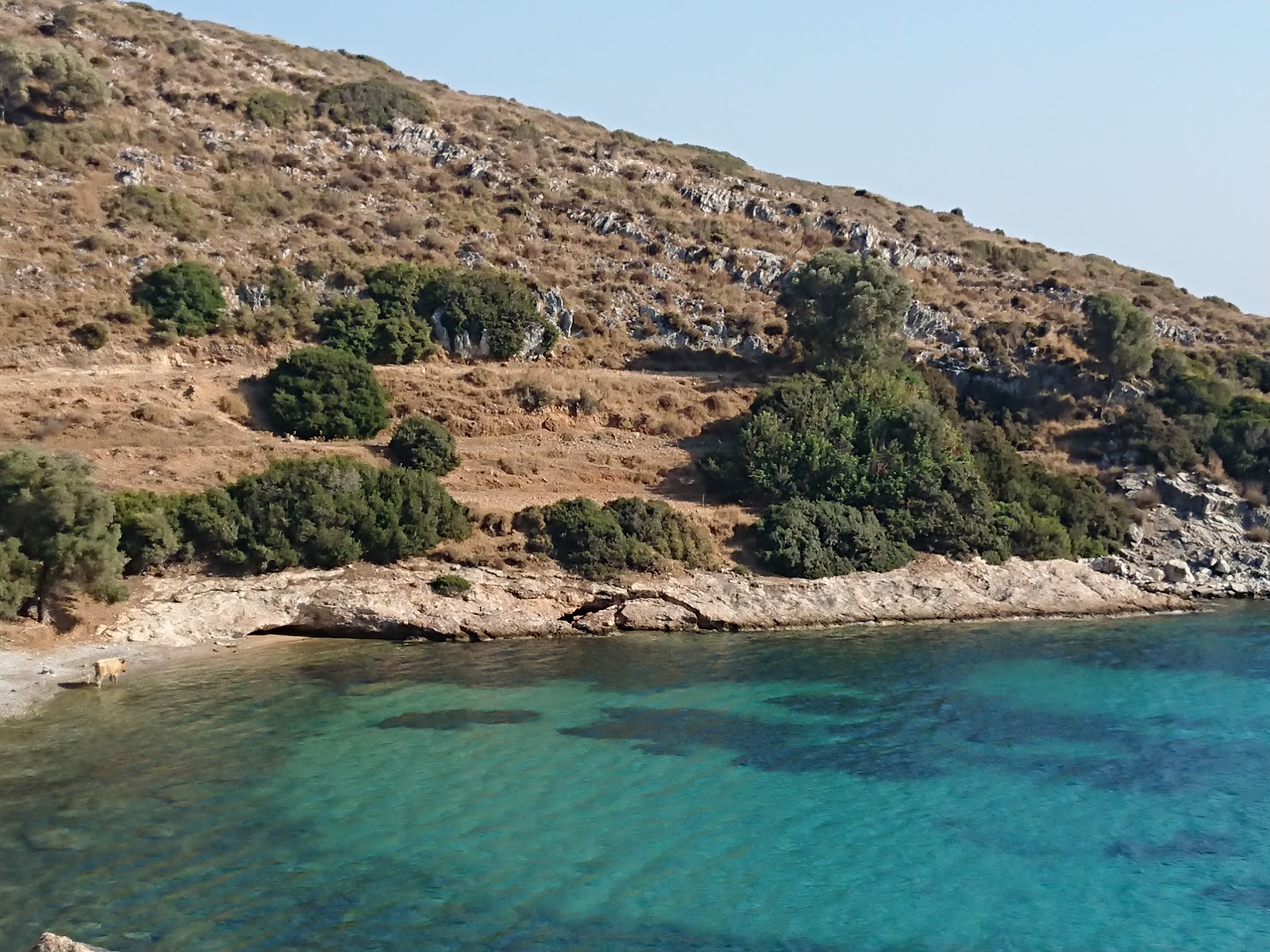 Agios Nikolaos beach'in fotoğrafı turkuaz saf su yüzey ile