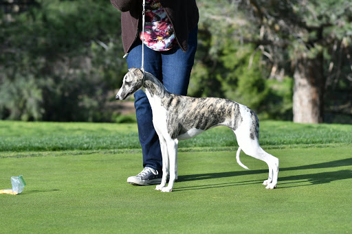 Golf Club «Canyon Crest Golf Course», reviews and photos, 5365 Vía Donoso, Riverside, CA 92507, USA