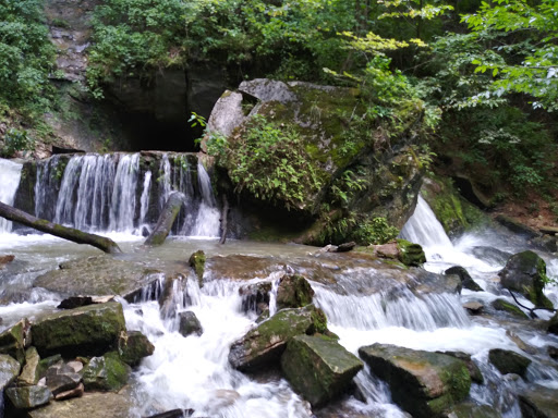 Park «Cave River Valley Park», reviews and photos, 6031-6871 N Cave River Valley Rd, Campbellsburg, IN 47108, USA