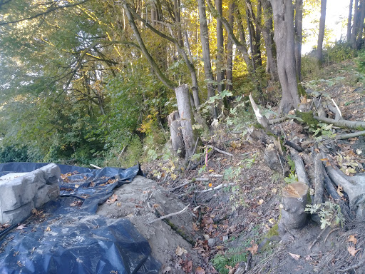 Park «Lewis Park», reviews and photos, 1120 15th Ave S, Seattle, WA 98144, USA