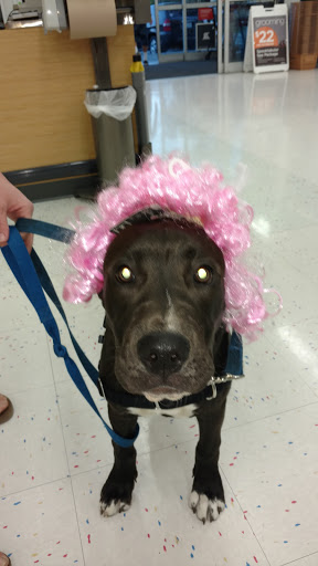 Pet Supply Store «Petco Animal Supplies», reviews and photos, 27111 167th Pl SE #113, Covington, WA 98042, USA