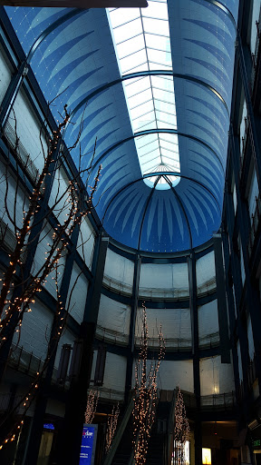 Shopping Mall «Gaviidae Common», reviews and photos, 651 Nicollet Mall #125, Minneapolis, MN 55402, USA