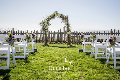 Florist «Violetta Flowers», reviews and photos, 1501 Cortland Ave, San Francisco, CA 94110, USA